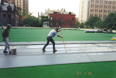 Artificial Turf Rooftop1.GIF (72785 bytes)