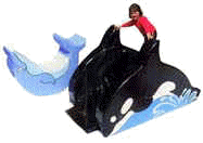 Killer Whale and Dolphin