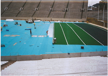 PIC11.GIF (56733 bytes)