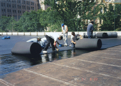 Rubber Being Installed with Nordot2.GIF (82115 bytes)