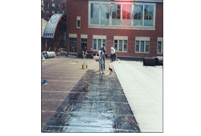 Squeegee Appication6.GIF (53710 bytes)