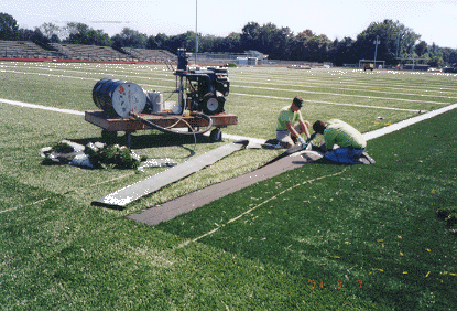 Turf Seaming7.GIF (94588 bytes)