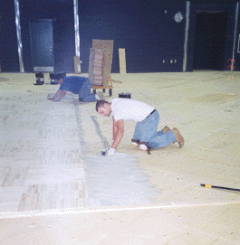 glue-wood-fl8-8-01.GIF (47134 bytes)