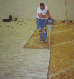wood-fl-pic.1.gif (48455 bytes)